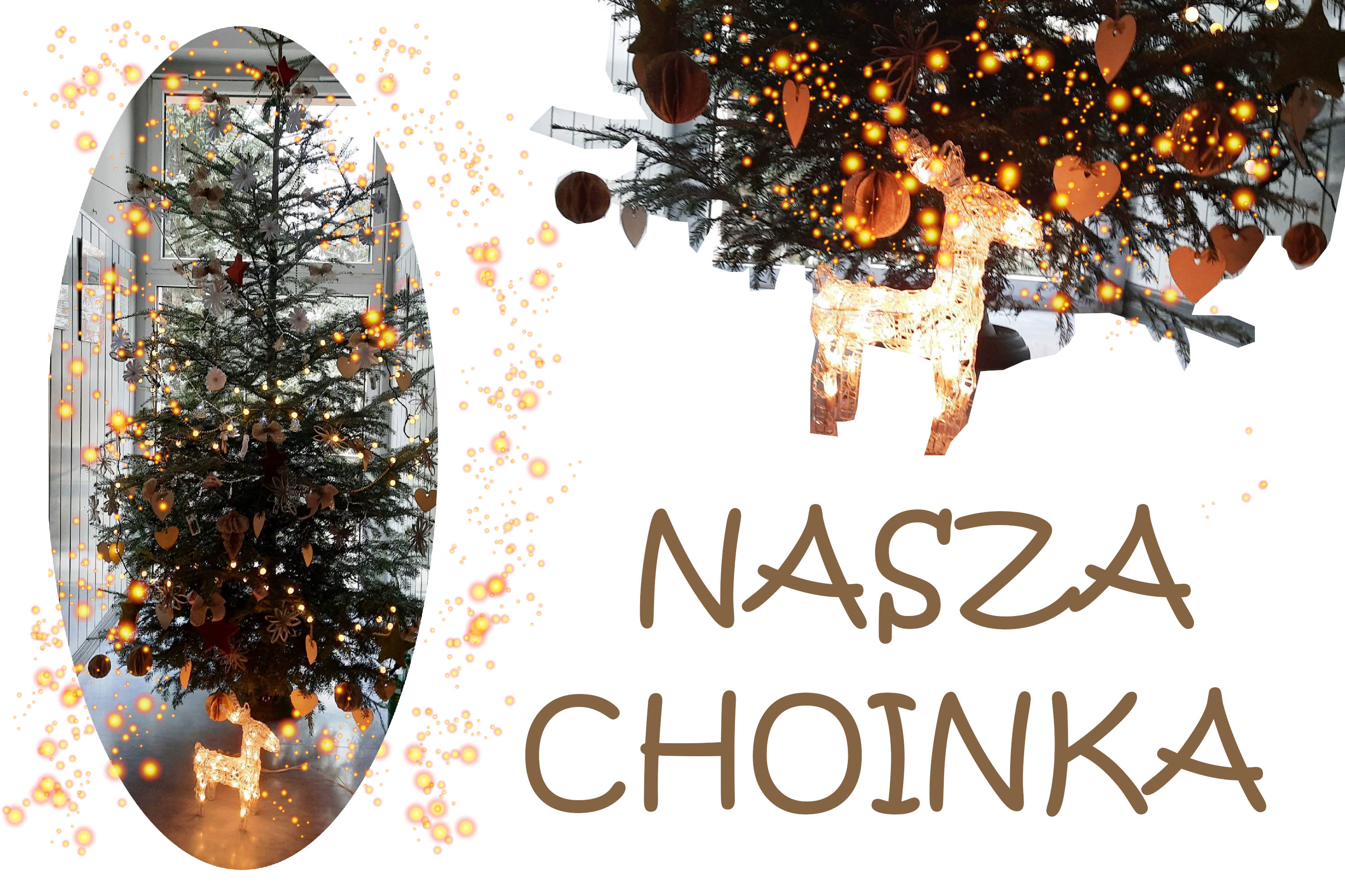 Nasza choinka