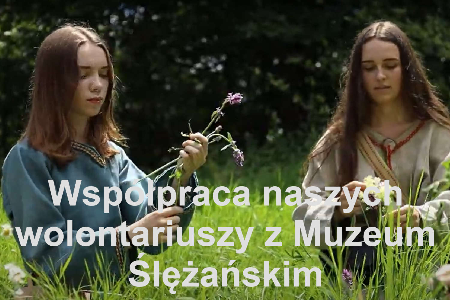 Nasi wolontariusze współpracują z Muzeum Ślężańskim