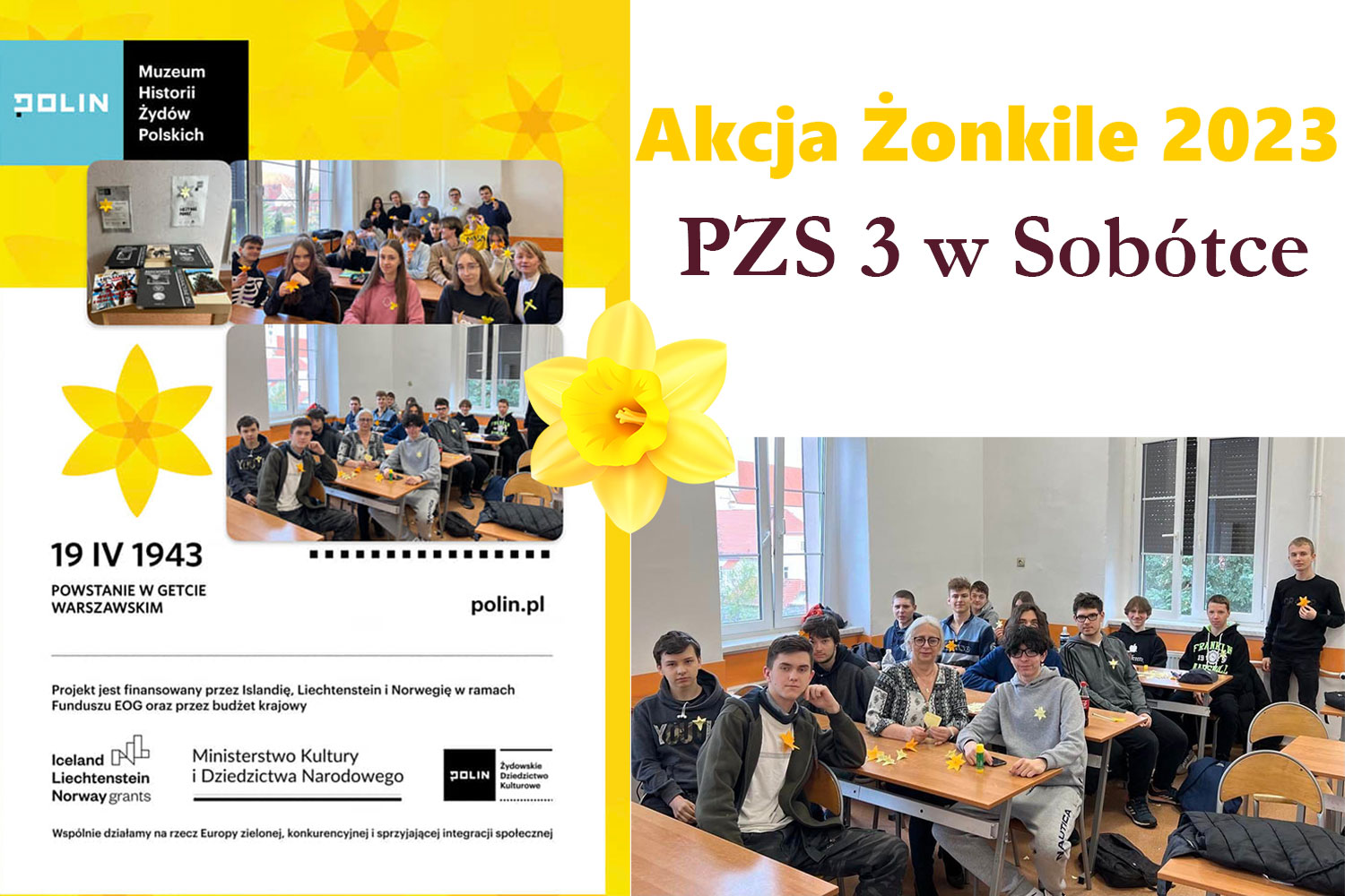 Akcja żonkile 2023
